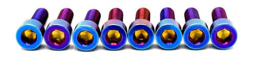 Titanium Direct Mount Bolt Kit (8)