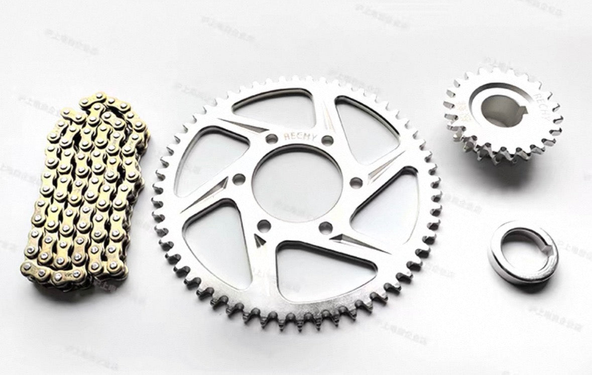 Ultra Bee Chain Drive Conversion