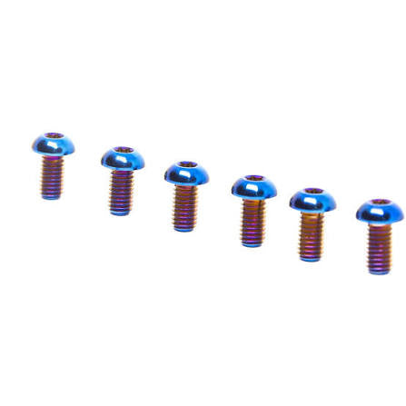 Titanium Rear Rotor Bolts (6)