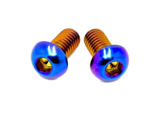 Titanium Ignition Cover bolts