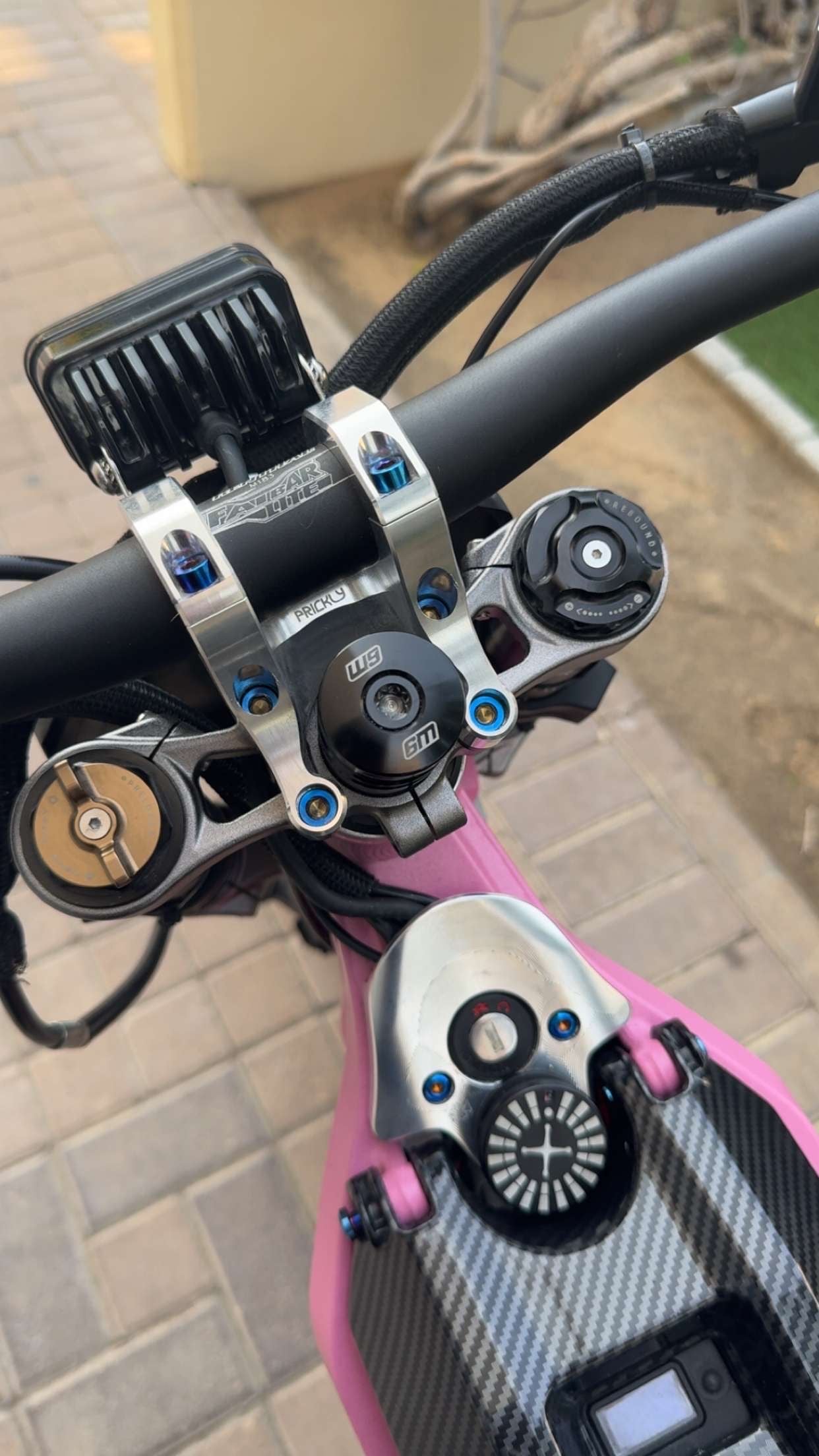 Titanium Direct Mount Bolt Kit (8)